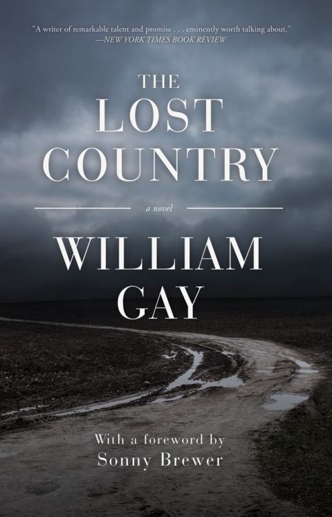 Cover image for book The Lost Country