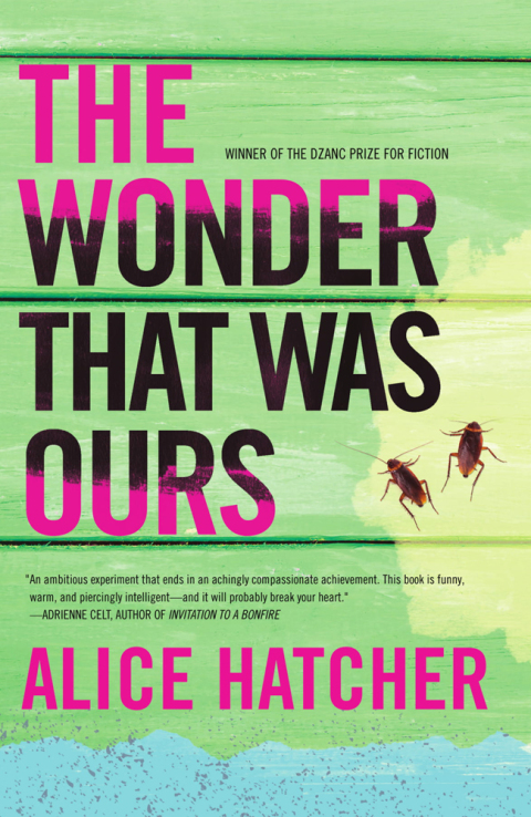 Cover image for book The Wonder That Was Ours