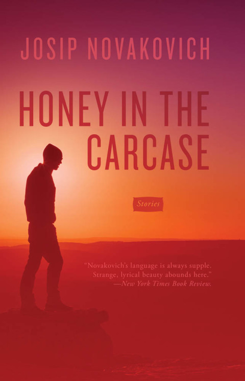 Cover image for book Honey in the Carcase