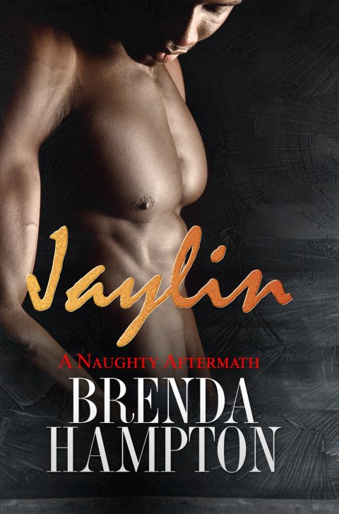 Cover image for book Jaylin: A Naughty Aftermath