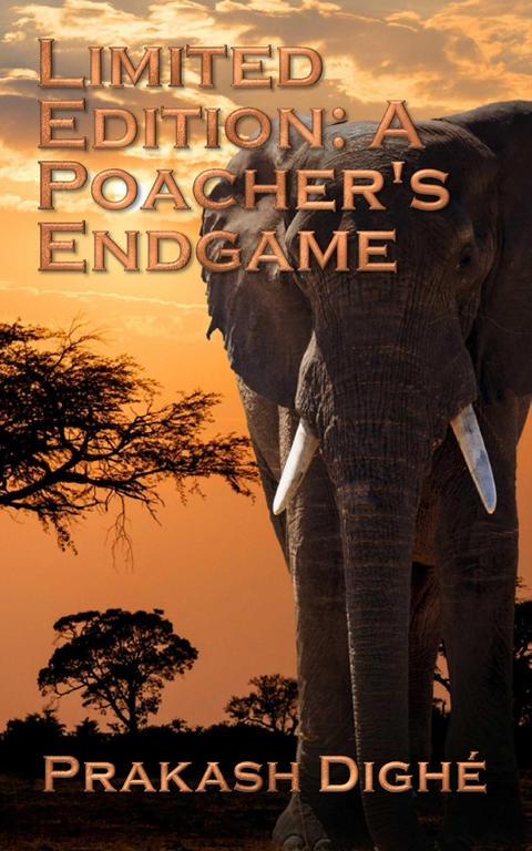 Cover image for book Limited Edition
