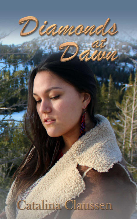 Cover image for book Diamonds at Dawn