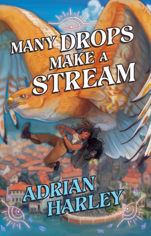 Cover image for book Many Drops Make a Stream