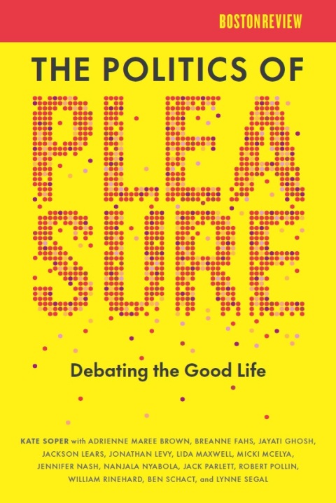 Cover image for book The Politics of Pleasure