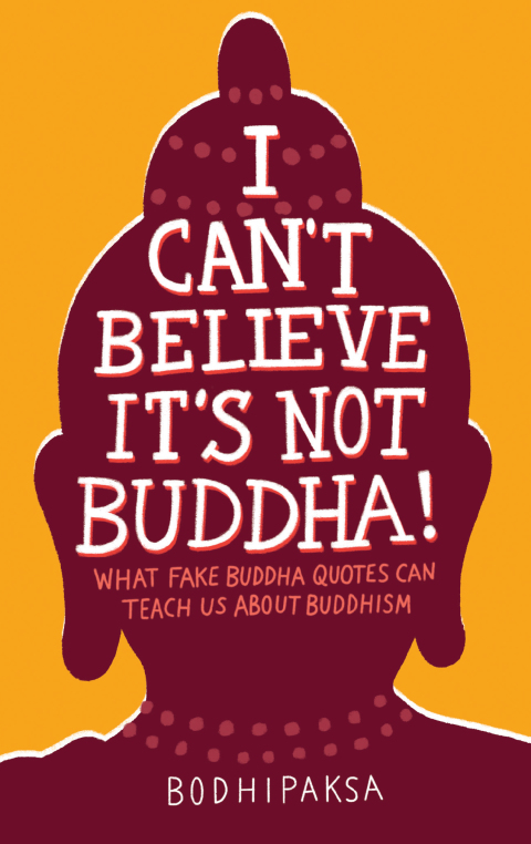 Cover image for book I Can't Believe It's Not Buddha!