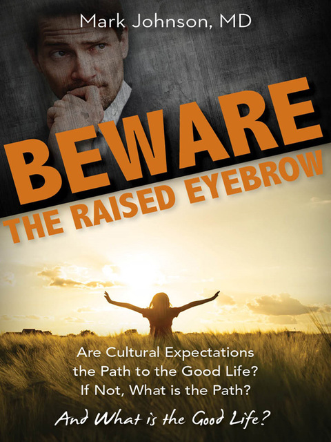 Cover image for book Beware the Raised Eyebrow