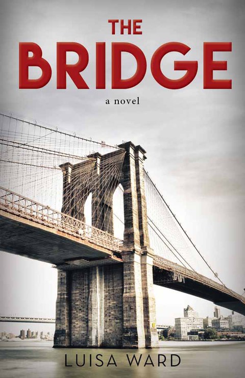 Cover image for book The Bridge
