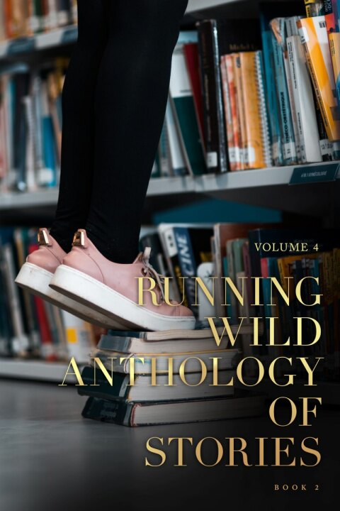 Cover image for book Running Wild Anthology of Stories Volume 3