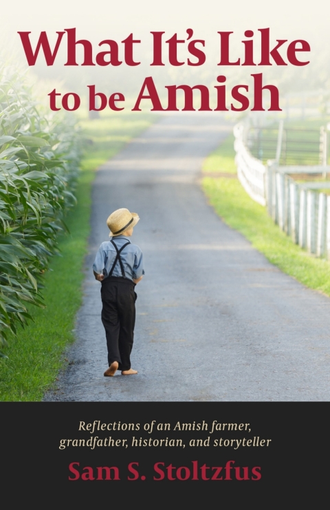 Cover image for book What It's Like to Be Amish