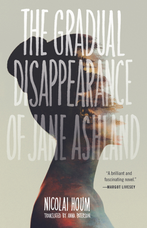 Cover image for book The Gradual Disappearance of Jane Ashland