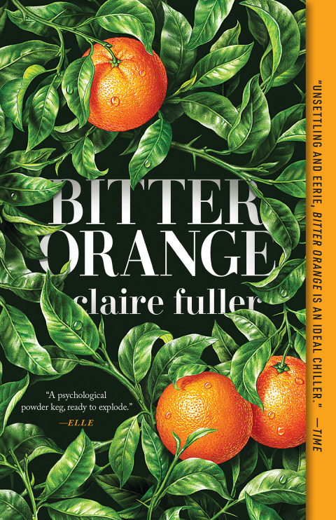 Cover image for book Bitter Orange