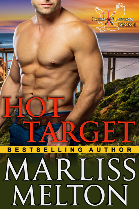 Cover image for book Hot Target (The Echo Platoon Series, Book 4)