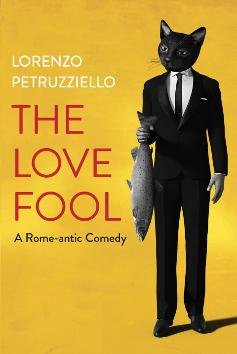Cover image for book The Love Fool