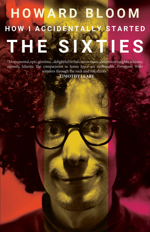 Cover image for book How I Accidentally Started The Sixties