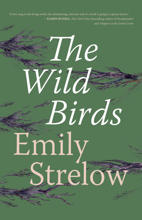 Cover image for book The Wild Birds