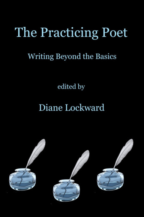 Cover image for book The Practicing Poet