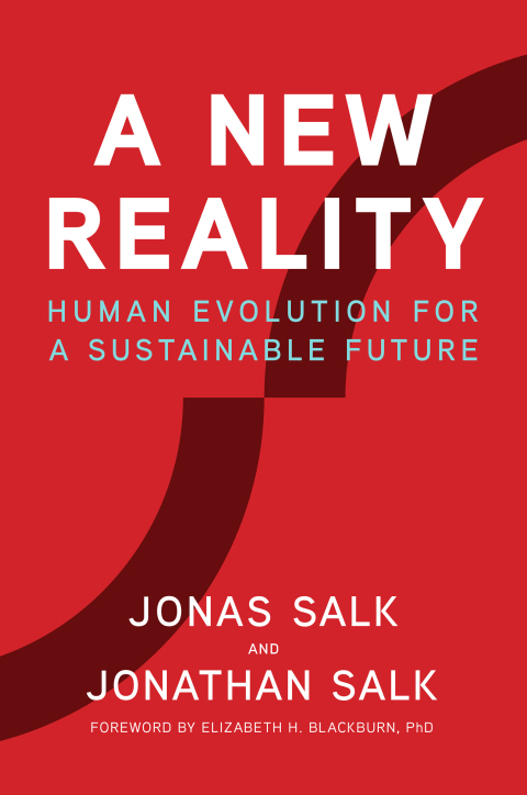 Cover image for book A New Reality