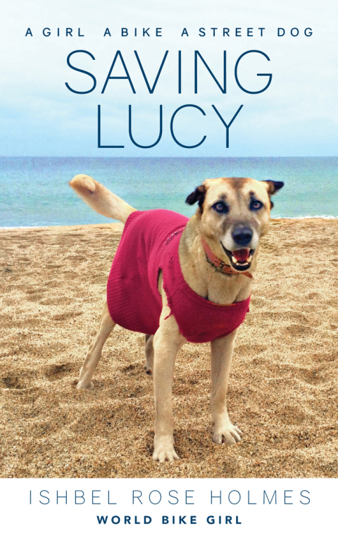 Cover image for book Saving Lucy