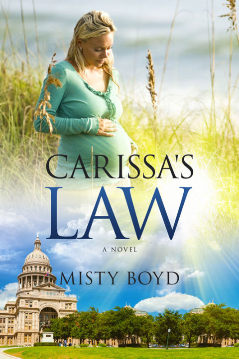 Cover image for book Carissa's Law