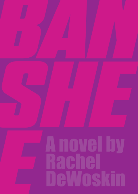 Cover image for book Banshee
