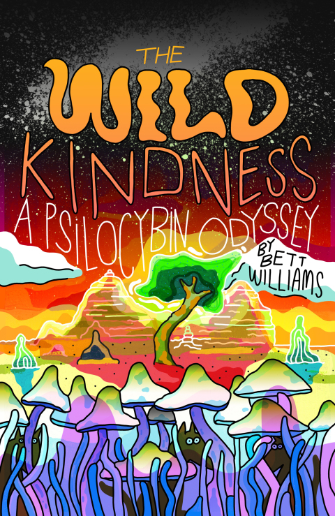 Cover image for book The Wild Kindness