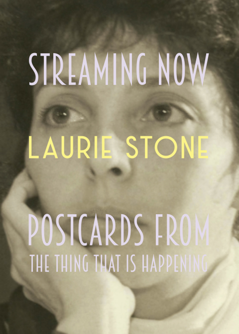 Cover image for book Streaming Now