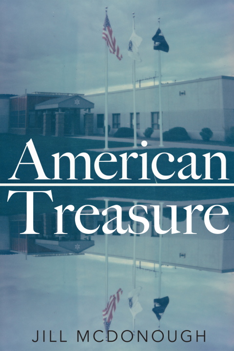 Cover image for book American Treasure