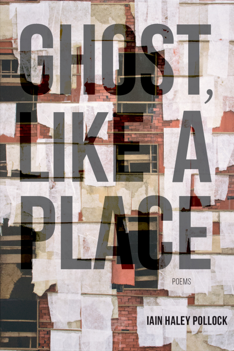 Cover image for book Ghost, like a Place