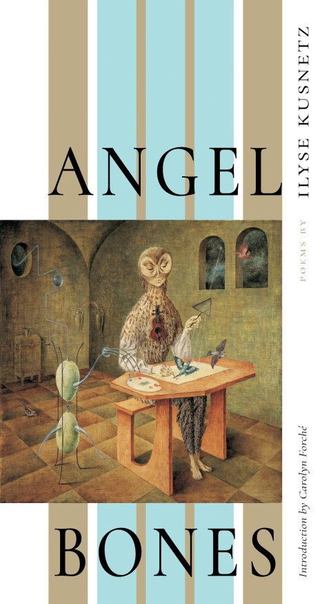 Cover image for book Angel Bones