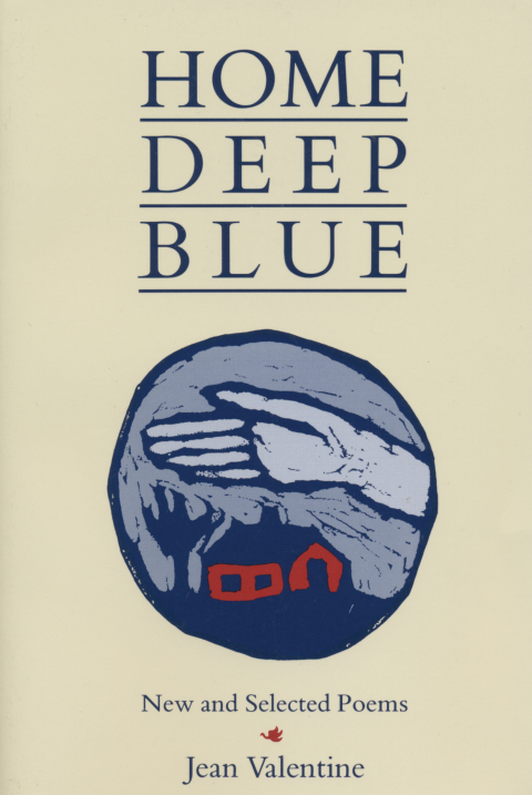 Cover image for book Home Deep Blue