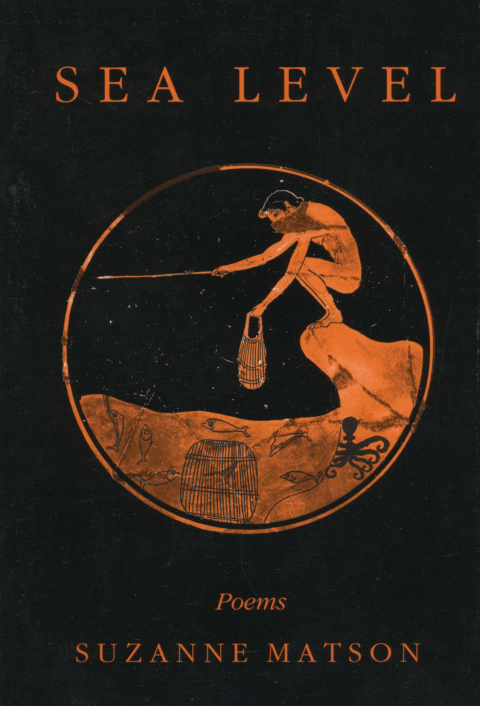 Cover image for book Sea Level