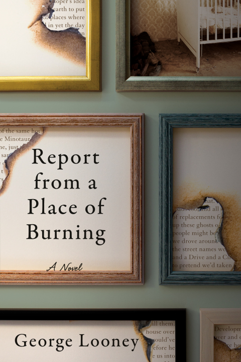 Cover image for book Report from a Place of Burning