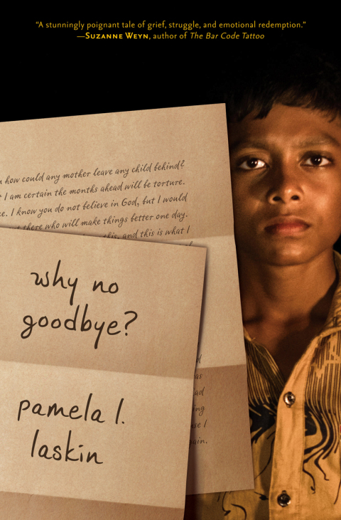 Cover image for book Why No Goodbye?