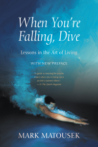 Cover image: When You're Falling, Dive 9781948626576