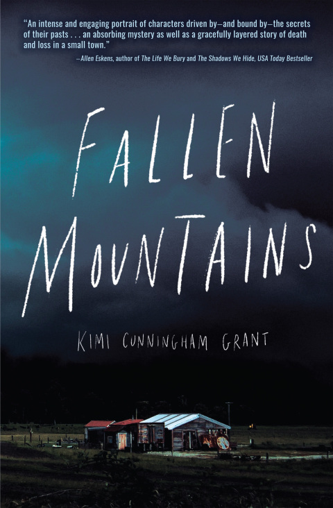 Cover image for book Fallen Mountains
