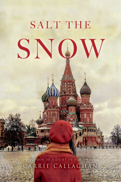 Cover image for book Salt the Snow