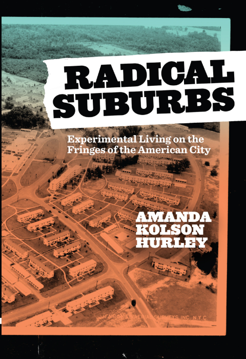 Cover image for book Radical Suburbs
