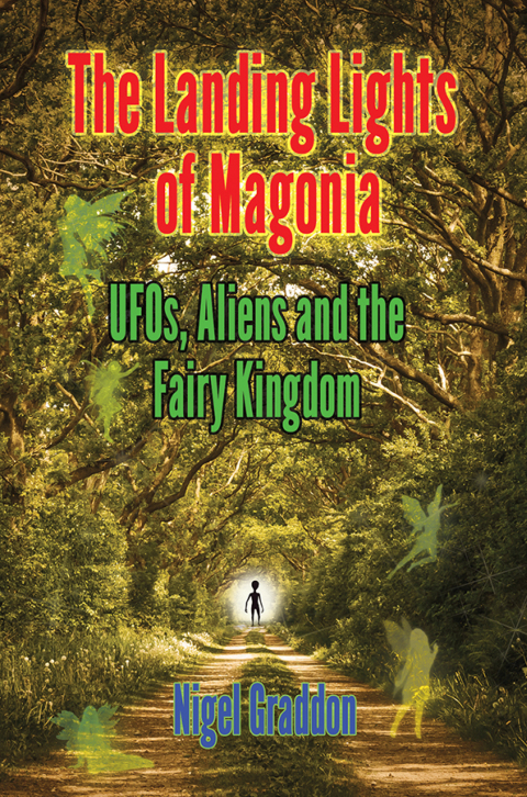 Cover image for book THE LANDING LIGHTS OF MAGONIA
