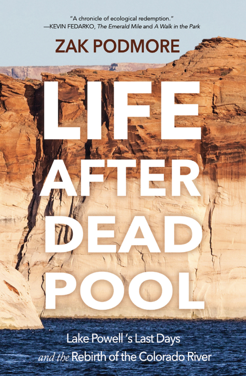 Reflowable Life After Dead Pool; $13.19