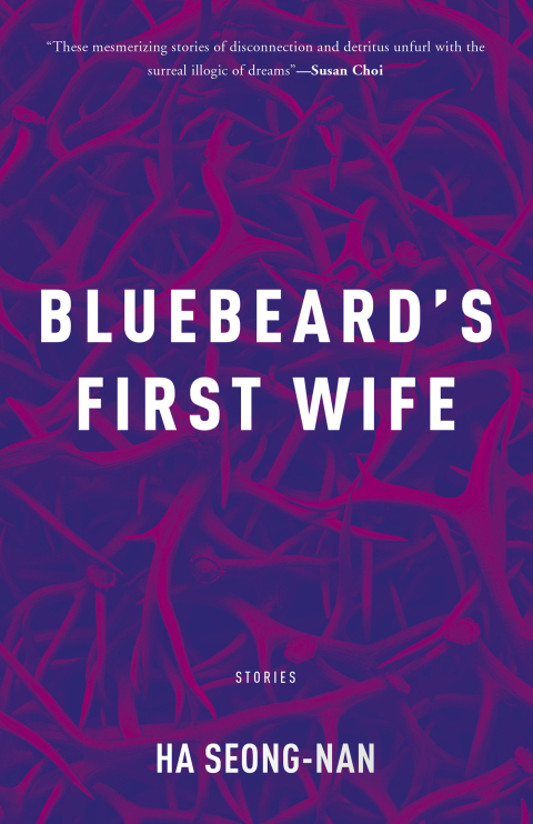 Cover image for book Bluebeard's First Wife