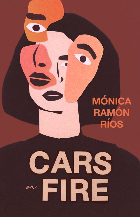 Cover image for book Cars on Fire