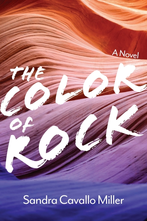 Cover image for book The Color of Rock