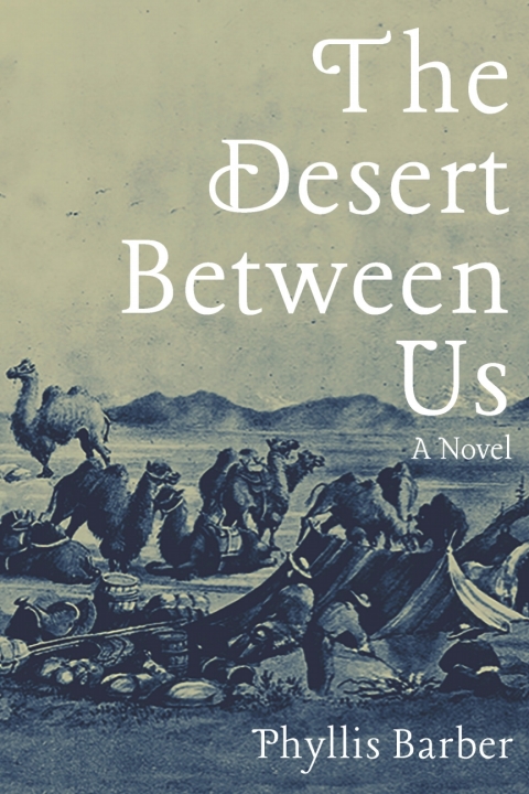 Cover image for book The Desert Between Us