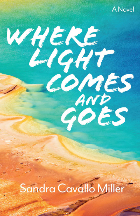 Cover image for book Where Light Comes and Goes