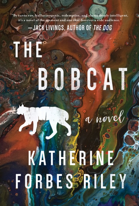 Cover image for book The Bobcat