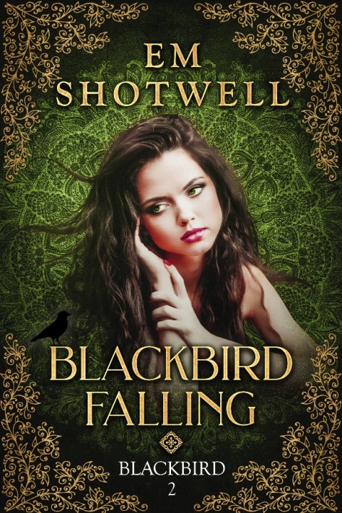 Cover image for book Blackbird Falling