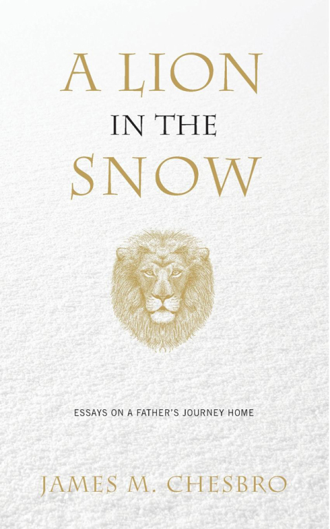 Cover image for book A Lion in the Snow
