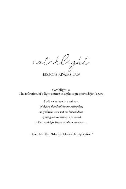 Cover image for book Catchlight