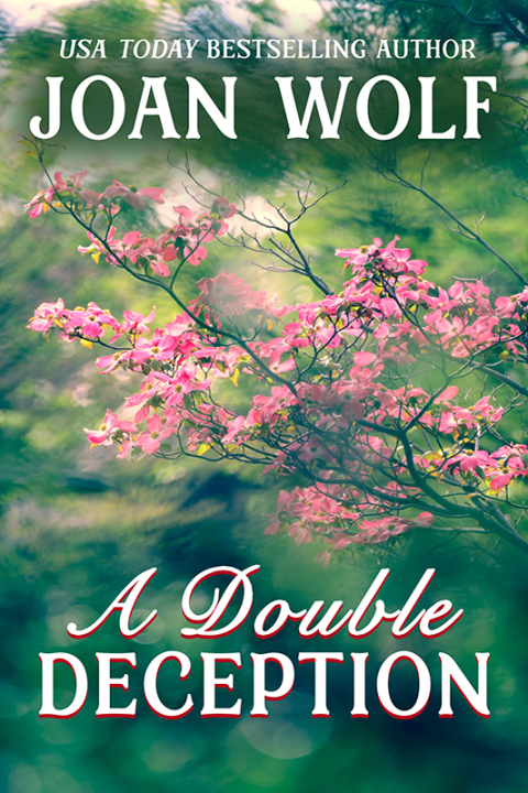 Cover image for book A Double Deception