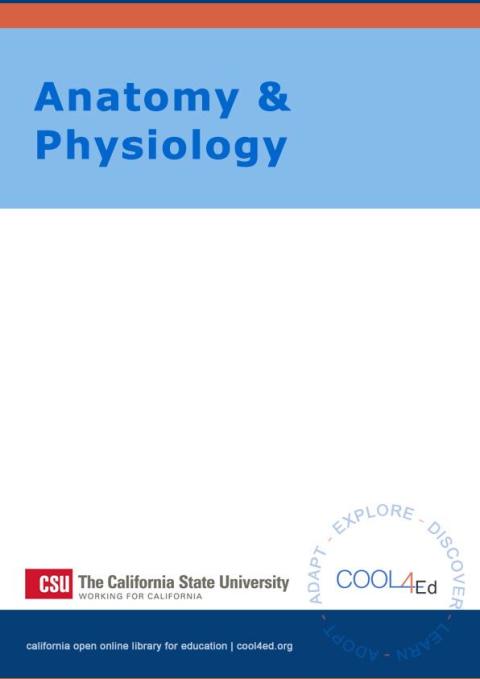 Cover image for book Anatomy and Physiology CSU Interactive OpenStax
